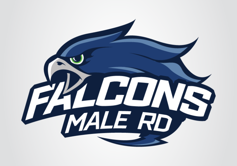 Logo Falcons MRD